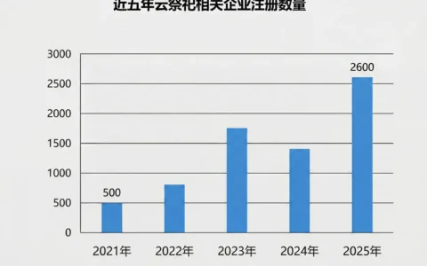 12万的墓碑和399的AI永生，你怎么选