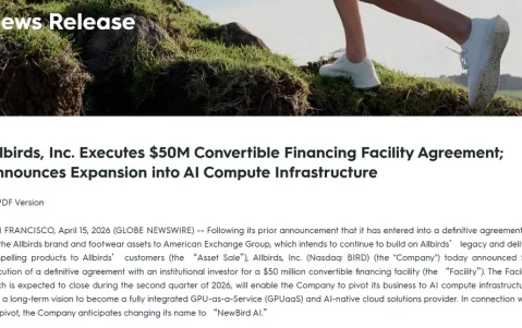 潮鞋品牌Allbirds宣布“弃鞋从算力” 股价一度飙涨800%