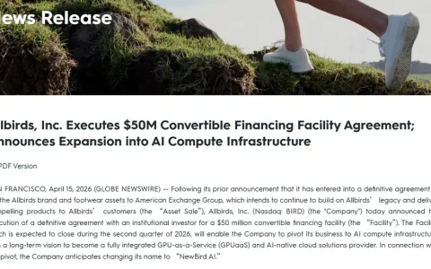 潮鞋品牌Allbirds宣布“弃鞋从算力” 股价一度飙涨800%