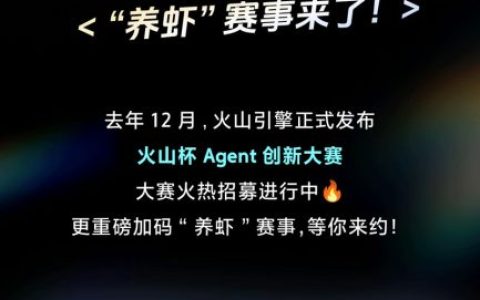 火山杯Agent创新大赛（2026 Q1-Q4）