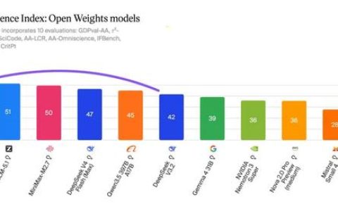 16 个月后，DeepSeek 已不是孤身走暗巷